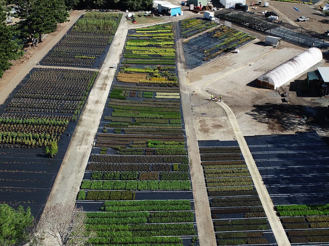 Plant Supply & Grow Contracts